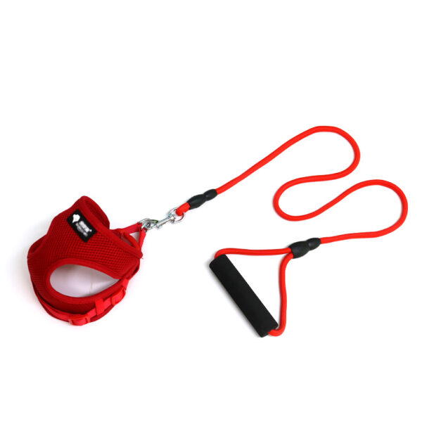 Dog leash dog leash dog collar - Image 3